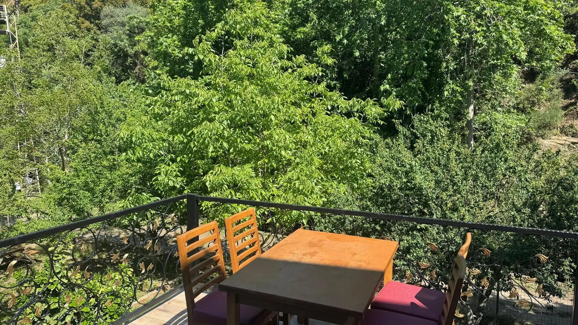 Δωμάτια σε οικογενειακή κατοικία Ahsen Pansiyon Σελτσούκ Τουρκία